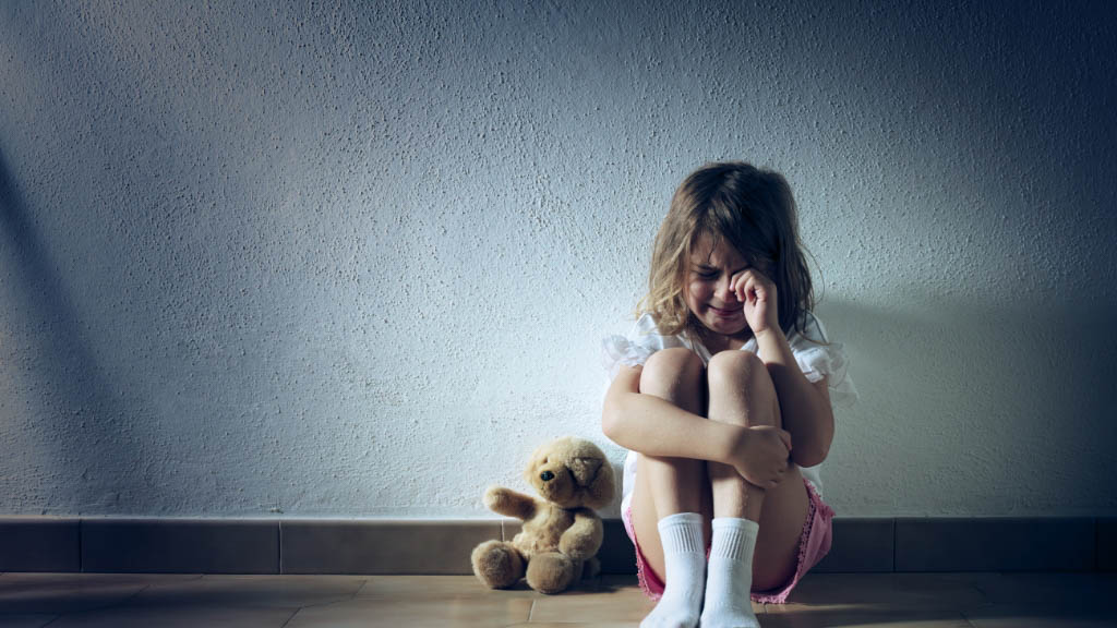 Violência Doméstica e Guarda dos Filhos: O Que Diz a Nova Lei Sobre Guarda Unilateral e Como um Advogado Pode Ajudar
